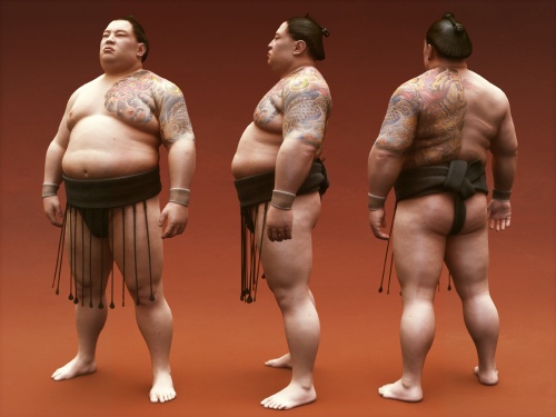 el-luchador-de-sumo.jpg